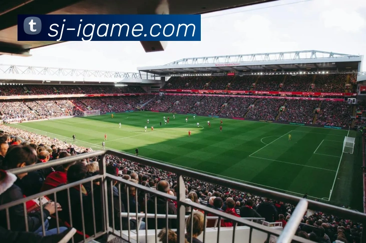 App Interface Preview